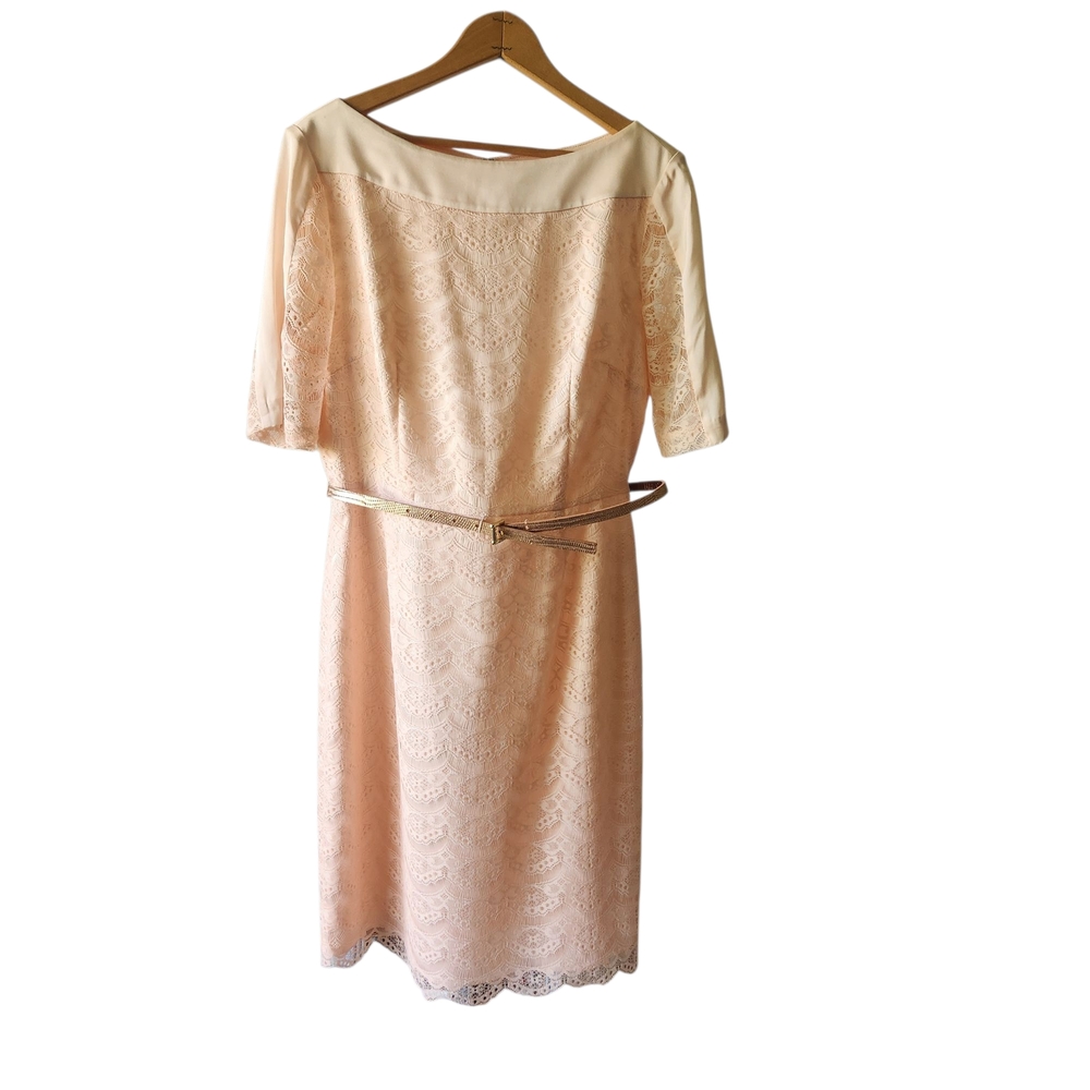 ANTONIO MELANI Celo Dress Lace Sheath Dress Peony Pink Beaded Belt Size 10